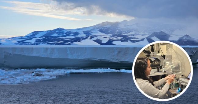 Fragmentos del océano que siguen activos