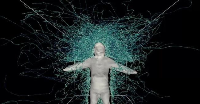 Un estudiante se entregó a una horda hambrienta de mosquitos por la ciencia