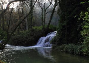 Aguas Andinas informa que reposición del agua tras corte en la RM será "parcial y paulatina"