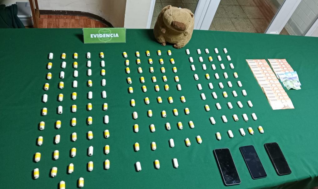 Perro del OS7 detecta capibara de peluche y a 2 mujeres con ovoides en su interior: 145 en total