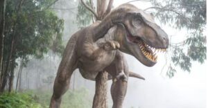 Descubren por qué el Tiranosaurio rex tenía brazos cortos