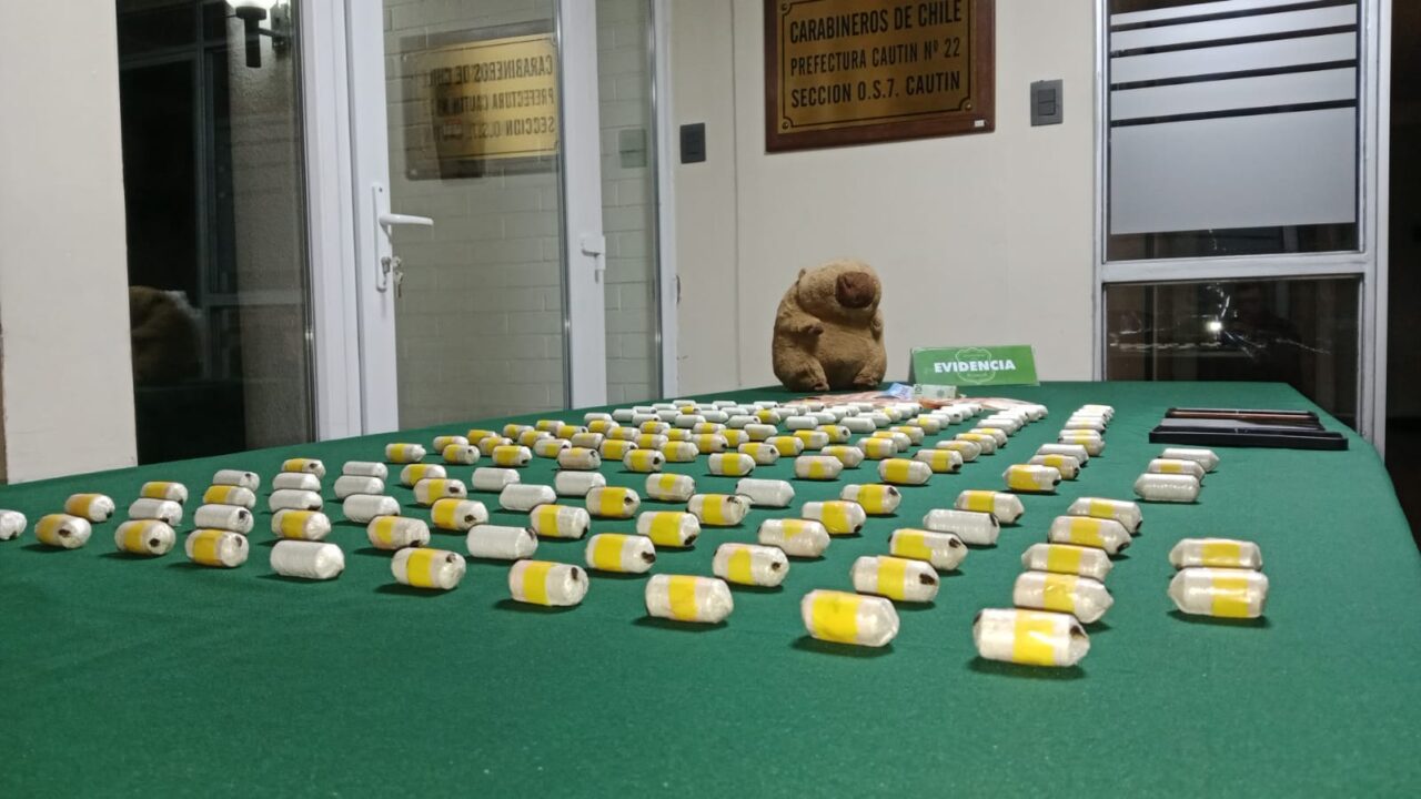 Perro del OS7 detecta capibara de peluche y a 2 mujeres con ovoides en su interior: 145 en total