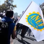 ANEF se declaró "en alerta" por posibles nuevos despidos de funcionarios públicos en Los Ríos