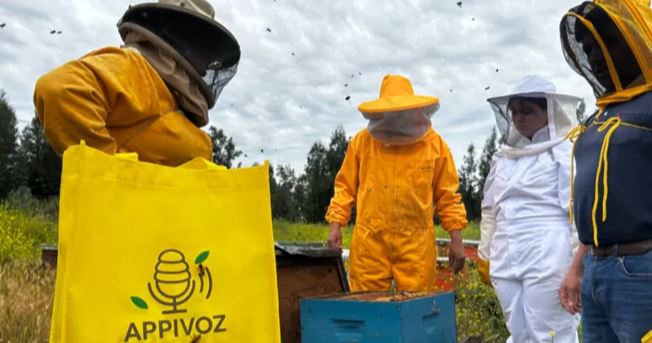 AppiVoz: desarrollan plataforma que busca impulsar apicultura mediante registro de datos de voz | Ciencia y Tecnología