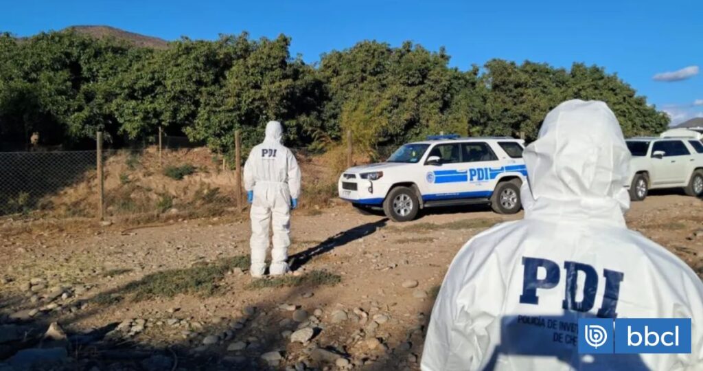 Heridos a perdigones y hallados en plantación de paltos: lo que se sabe del doble homicidio en Sotaquí