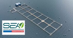 SEA aprobó 6 millones de dólares en proyectos de industria salmonera en regiones de Los Lagos y Aysén