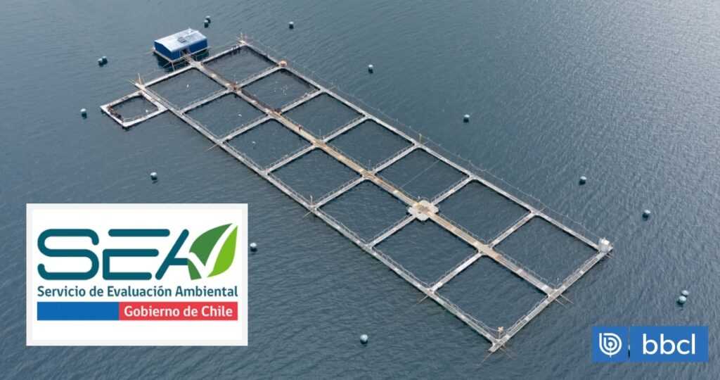 SEA aprobó 6 millones de dólares en proyectos de industria salmonera en regiones de Los Lagos y Aysén