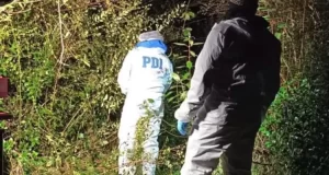 Hallan cadáver de mujer de aproximadamente 20 años en Isla Huar de Calbuco: hay un detenido