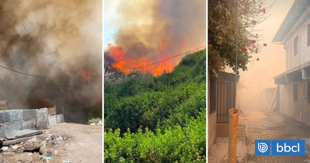 Incendio forestal obliga a evacuar sector de Camiña en Tarapacá: Senapred activa alerta SAE
