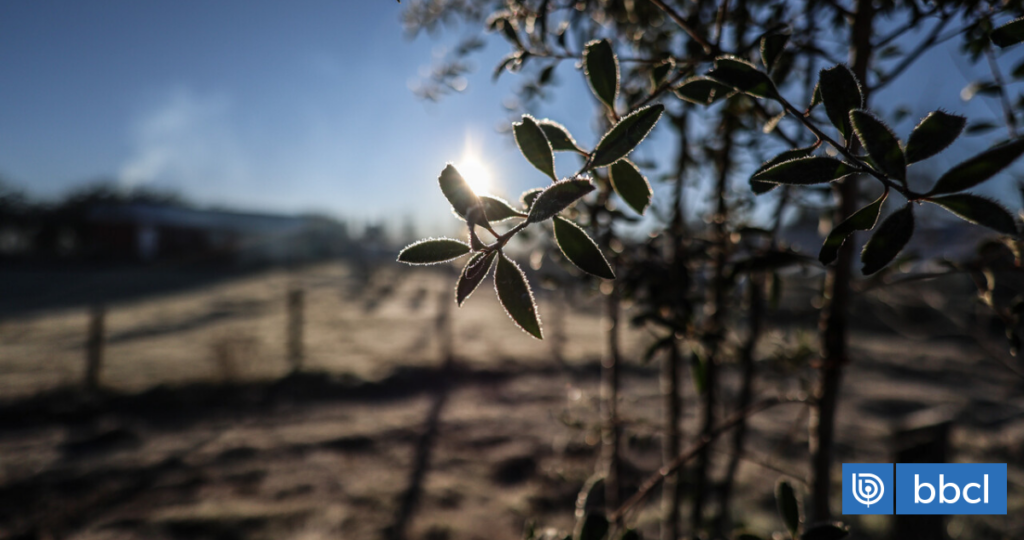 Temperaturas caerán hasta los -4°C: emiten aviso por heladas para seis regiones del país
