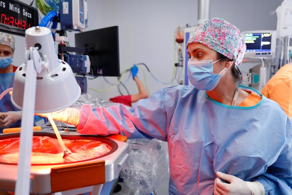 Un prototipo de placenta artificial para prematuros extremos logra mantener con vida un feto de oveja durante 21 días | Salud y bienestar