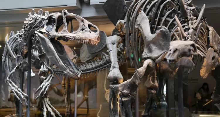 ¿Cómo murieron los dinosaurios? Nueva teoría cuestiona los paradigmas sobre su extinción
