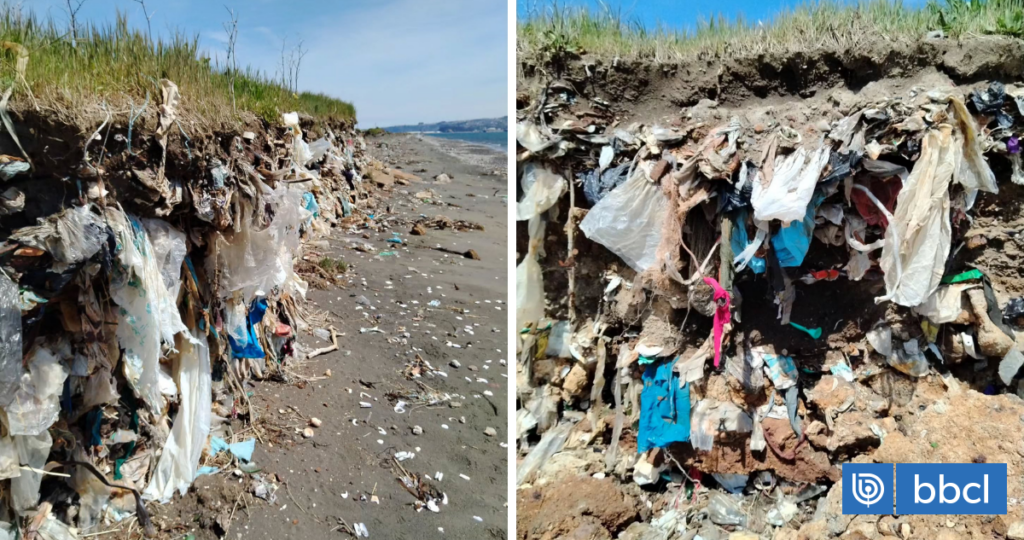 Residuos hospitalarios y basura estarían contaminando playa Isla de los Reyes Rocuant en Talcahuano