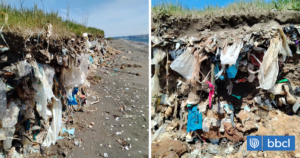 Residuos hospitalarios y basura estarían contaminando playa Isla de los Reyes Rocuant en Talcahuano