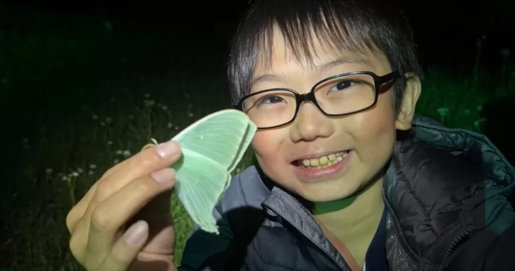 Un niño de 10 años descubrió que las mariposas pueden conservar recuerdos de cuando eran orugas