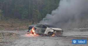 Ataque incendiario en Collipulli: queman camioneta en zona rural cercana a predios forestales