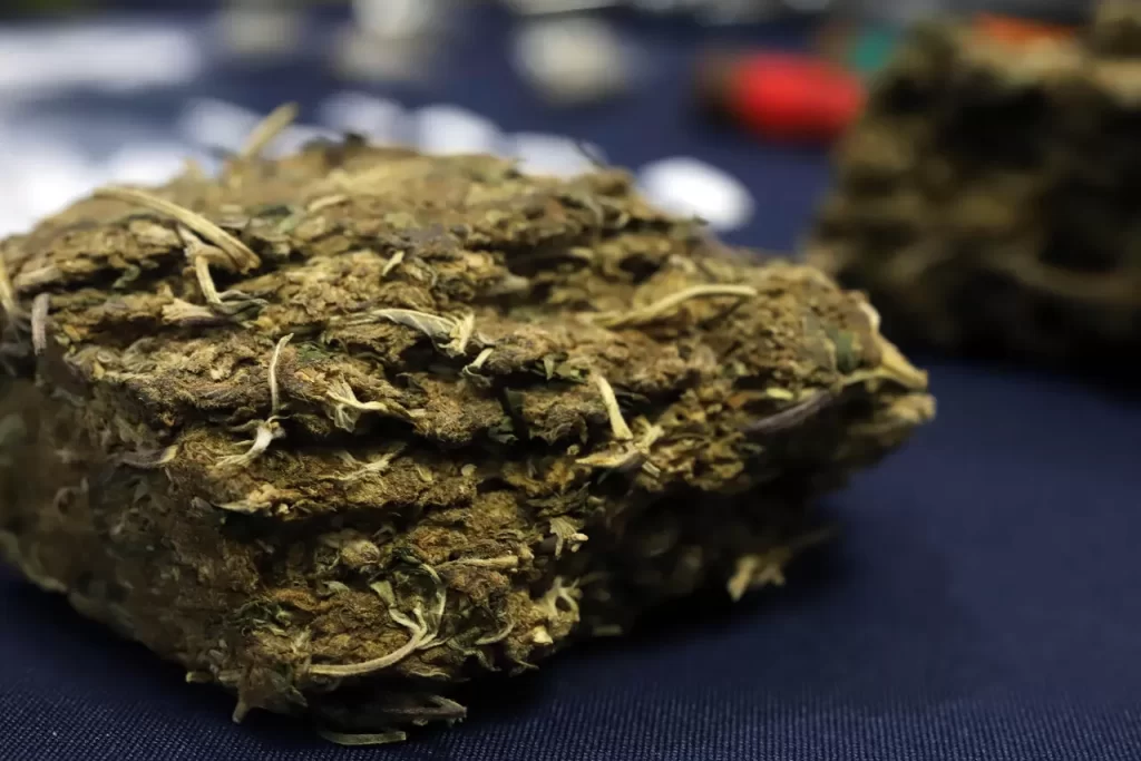 Carabineros incauta más de 1.250 kilos de marihuana en dos allanamientos en Calama