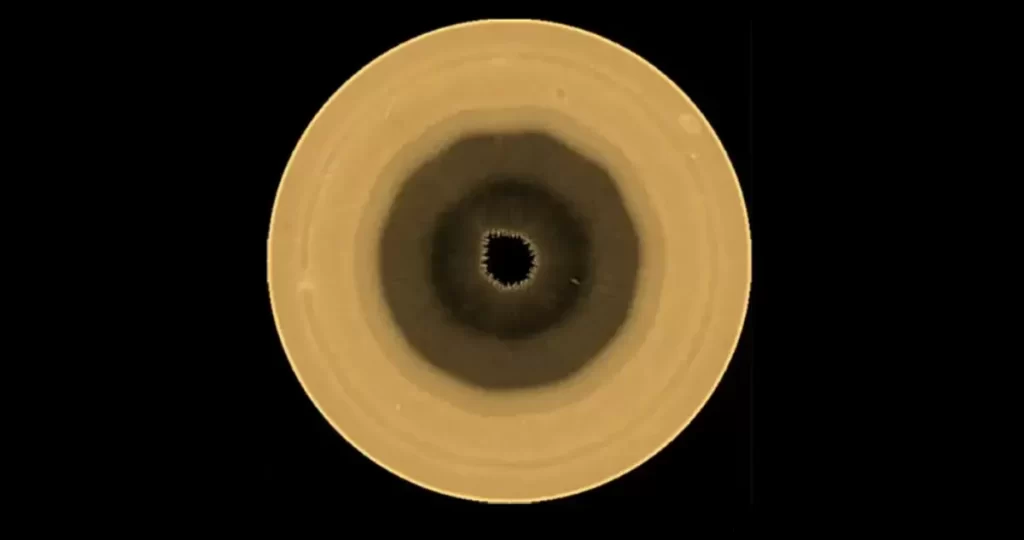 Astrónomos detectan figura gigante de 10 lados en Saturno | Ciencia y Tecnología