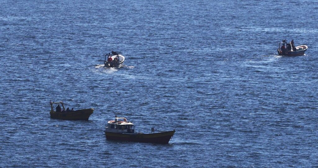 Detectan siete embarcaciones extrayendo merluza austral de manera ilegal en Aysén