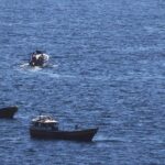 Detectan siete embarcaciones extrayendo merluza austral de manera ilegal en Aysén