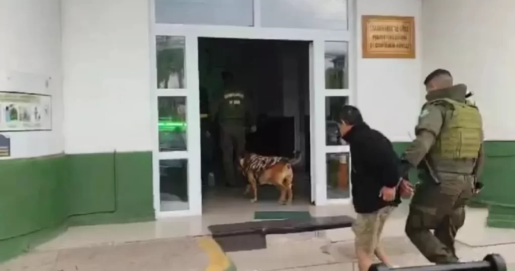 Un sofá, una cocina y un closet: detienen a cuatro falsos fletes sorprendidos robando en Ovalle